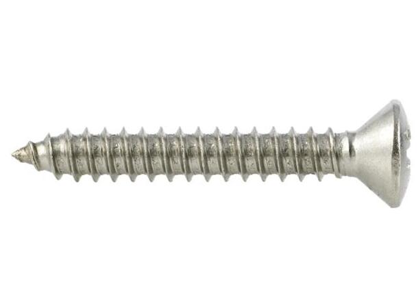 Plateskrue Linse A4 Pz3 6,3X50 A100 Helgjenget Din7983 