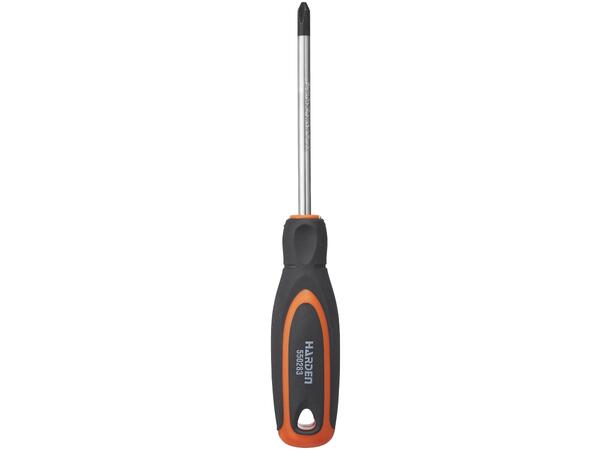 Skrutrekker Ph 2X100Mm