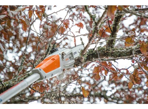 Stihl HTA 50 Batteridrevet Høy Grensag Sett Med Batteri Og Lader